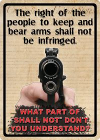 Right to Keep & Bear Arms